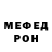 МЕФ VHQ Lion Arsenev