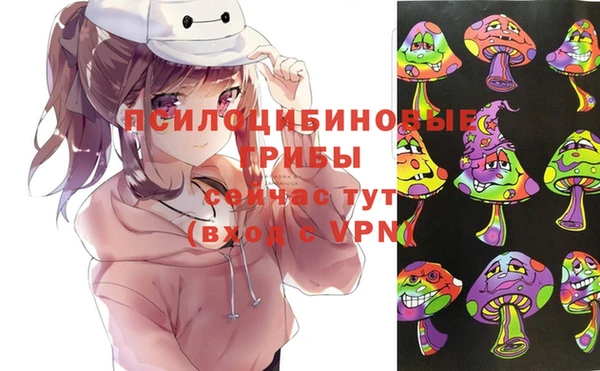 бошки Аркадак