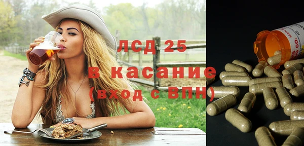 бошки Аркадак
