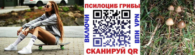 Псилоцибиновые грибы мицелий  Спас-Деменск 